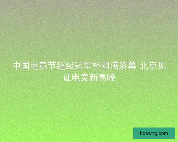 中国电竞节超级冠军杯圆满落幕 北京见证电竞新高峰
